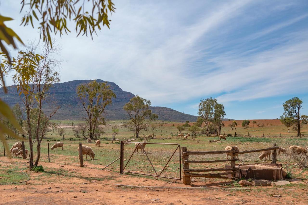 Rawnsley Park Station Hotel Flinders Ranges Ngoại thất bức ảnh